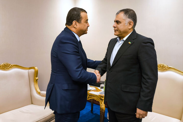 دیدار محسن پاک‌نژاد، وزیر نفت با محمد عرقاب، وزیر انرژی و معادن الجزایر