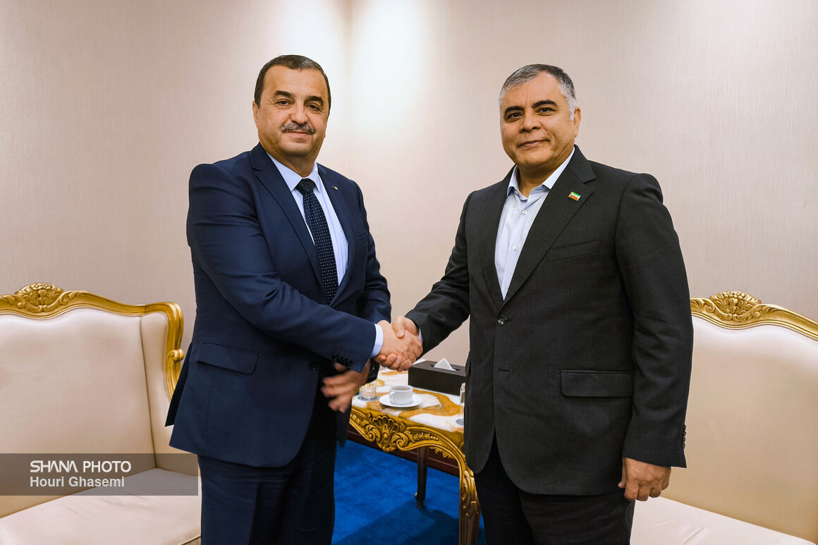 Tehran, Algiers seek synergy in energy ties
