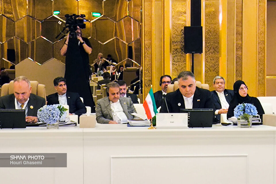 Paknejad calls for 'transformation into 'Organization of Gas Exporting Countries'