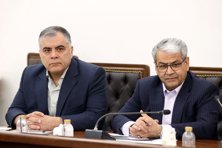 سید کامل تقوینژاد، دبیر هیئت دولت و محسن پاکنژاد، وزیر نفت