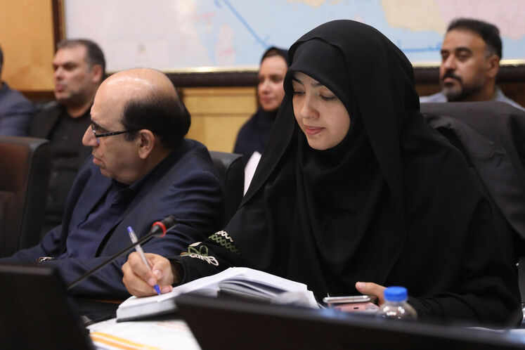 زهرا سعیدی مبارکه عضو کمیسیون صنایع و معادن مجلس شورای اسلامی