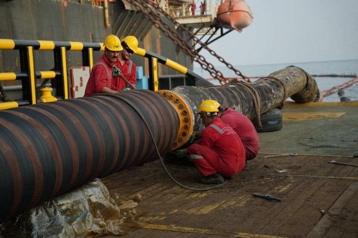 انجام تعمیرات اساسی شیلنگ‌های شناور پایانه کوروش