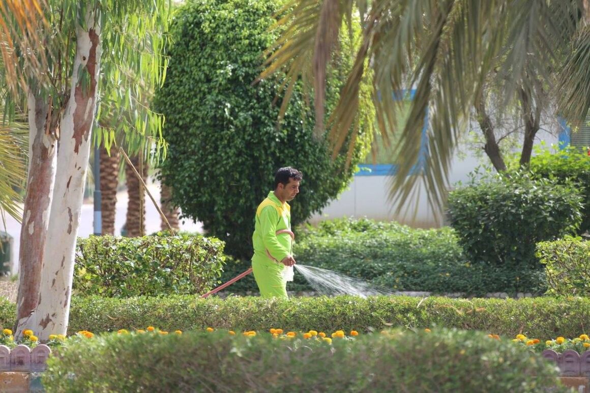 بهسازی فضای سبز در محدوده عملیاتی نفت و گاز پارس