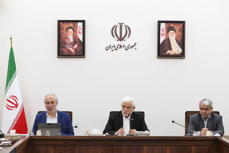 سید کامل تقوی‌نژاد، دبیر هیئت دولت، محمدرضا عارف، معاون اول رئیس‌جمهوری و سیدحمید پورمحمدی، رئیس سازمان برنامه و بودجه