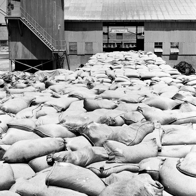 پتروشیمی شیراز، نخستین پتروشیمی ایران