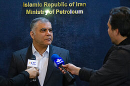 Paknejad: Petrochemical investment in gas fields key to securing feedstock