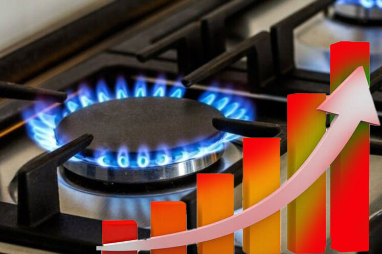 مصرف ۷۵ درصد از کل گاز تولیدی در بخش خانگی