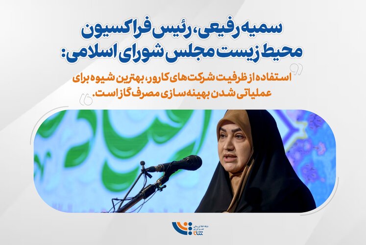 شرکت‌های کارور؛ ابزاری برای بهینه‌سازی مصرف گاز