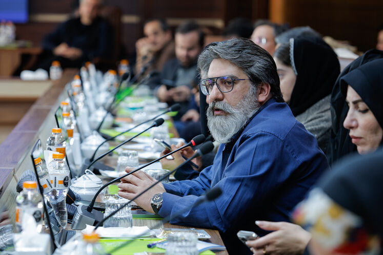 رضا وثوق، نفتون