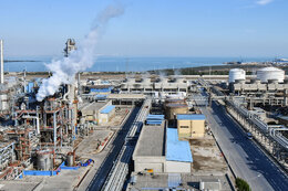 حکمیت شرکت ملی پتروشیمی به توسعه صنعت کمک می‌کند