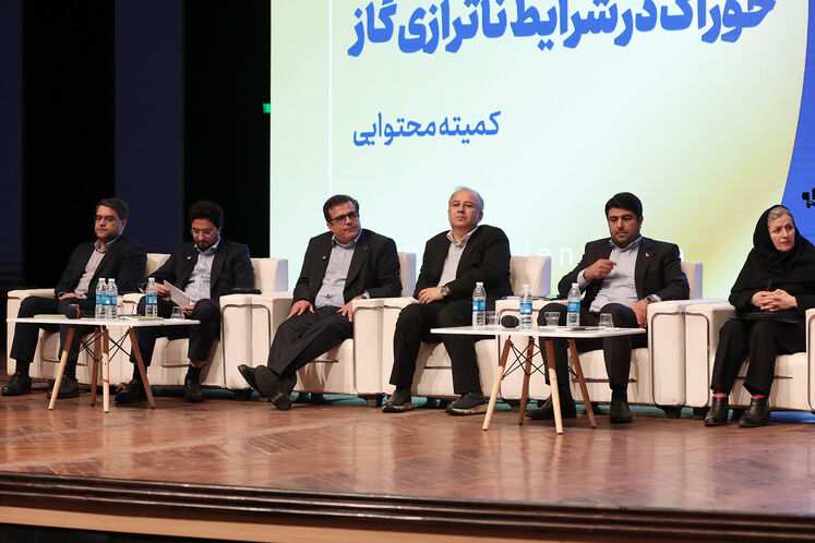 نشست تخصصی بایدها و نباید‌های تکمیل زنجیره ارزش متانول و اصلاح فرمول قیمت‌گذاری خوراک در شرایط ناترازی گاز