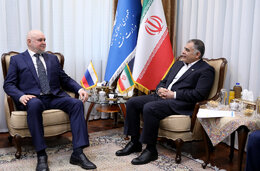 Iranian oil minister meets Russian energy minister