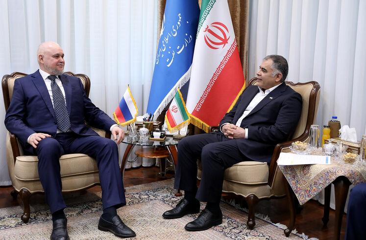 دیدار وزیر نفت ایران  با وزیر انرژی فدراسیون روسیه