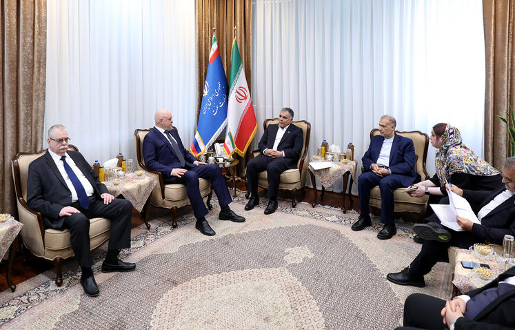 دیدار وزیر نفت ایران با وزیر انرژی فدراسیون روسیه