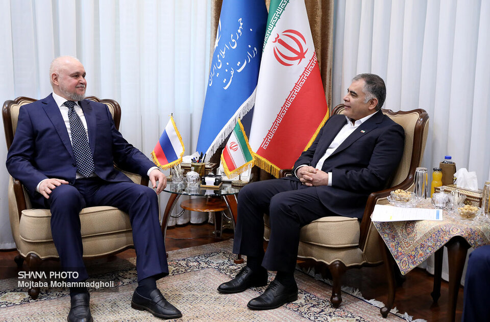 Iranian oil minister meets Russian energy minister