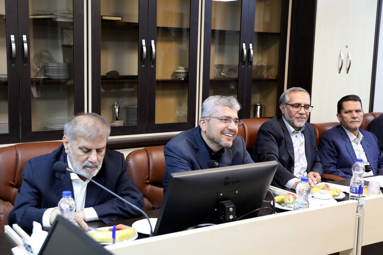 دیدار وزیر نفت با اعضای کمیسیون امنیت ملی و سیاست خارجی مجلس شورای اسلامی