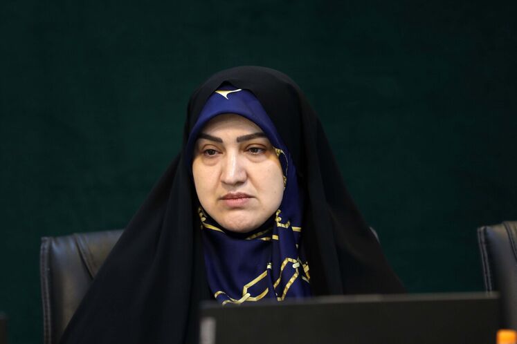 نشست مجازی وزیر نفت با نمایندگان مجلس شورای اسلامی