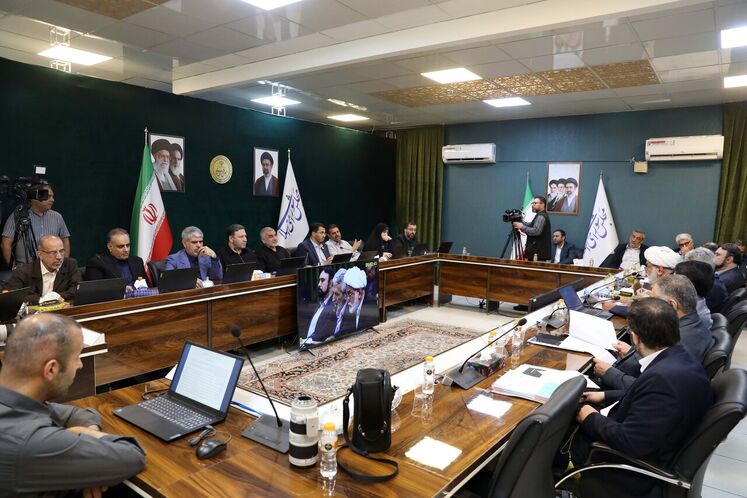 نشست مجازی وزیر نفت با نمایندگان مجلس شورای اسلامی