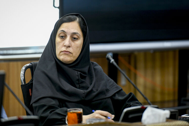 نشست معاون امور حقوقی و مجلس وزارت نفت با مسئولان معاونت راهبردی و امور مجلس ریاست‌جمهوری