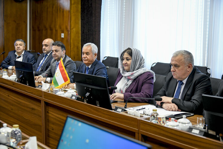 دیدار سید علی‌محمد موسوی، معاون امور بین‌الملل و بازرگانی وزارت نفت، با شریفه خدابخش، معاون وزیر انرژی و ذخایر آبی تاجیکستان