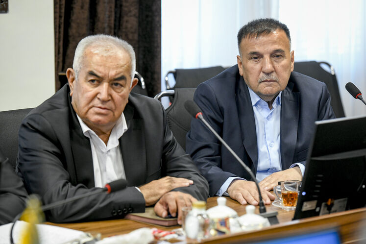 دیدار سید علی‌محمد موسوی، معاون امور بین‌الملل و بازرگانی وزارت نفت، با شریفه خدابخش، معاون وزیر انرژی و ذخایر آبی تاجیکستان