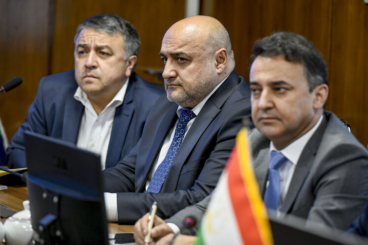 دیدار سید علی‌محمد موسوی، معاون امور بین‌الملل و بازرگانی وزارت نفت، با شریفه خدابخش، معاون وزیر انرژی و ذخایر آبی تاجیکستان