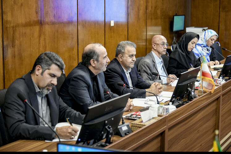 دیدار سید علی‌محمد موسوی، معاون امور بین‌الملل و بازرگانی وزارت نفت، با شریفه خدابخش، معاون وزیر انرژی و ذخایر آبی تاجیکستان