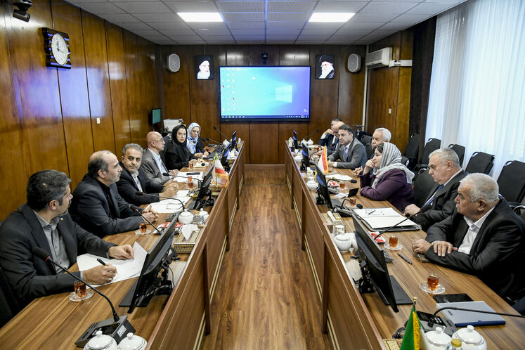 دیدار سید علی‌محمد موسوی، معاون امور بین‌الملل و بازرگانی وزارت نفت، با شریفه خدابخش، معاون وزیر انرژی و ذخایر آبی تاجیکستان