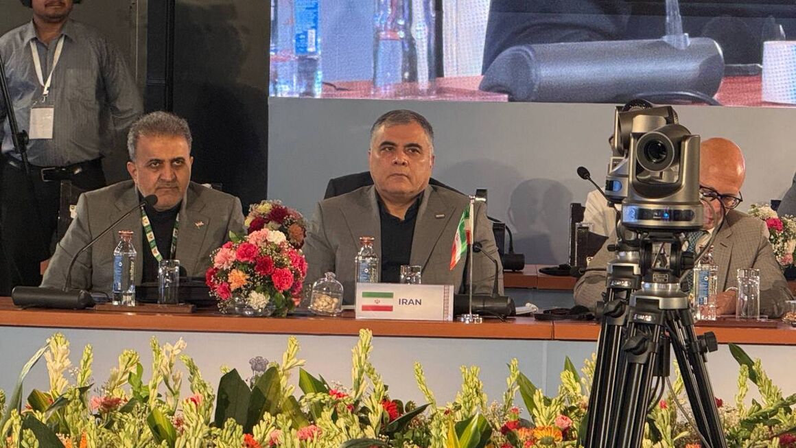 Paknejad Calls for BRICS Energy Security Partnership, Greater Oil and Gas Investment