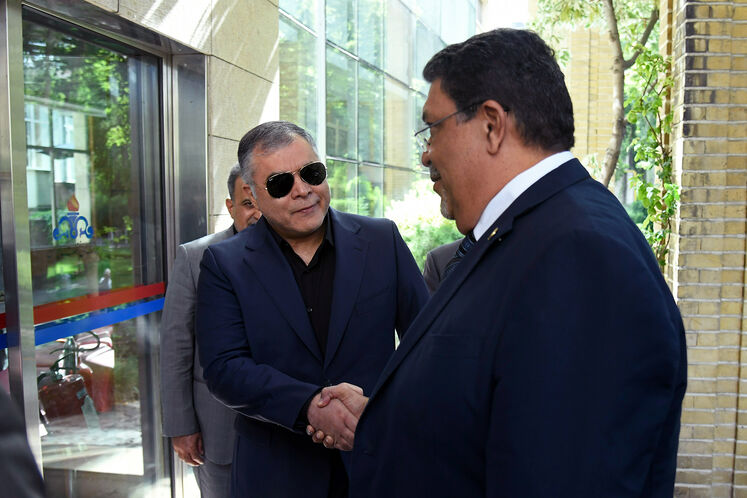 دیدار محسن پاک‌نژاد، وزیر نفت با والدراک لودوینگ یاینتسکه ویتاکر، وزیر امور خارجه جمهوری نیکاراگوئه