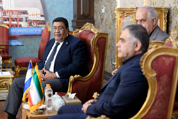 دیدار محسن پاک‌نژاد، وزیر نفت با والدراک لودوینگ یاینتسکه ویتاکر، وزیر امور خارجه جمهوری نیکاراگوئه