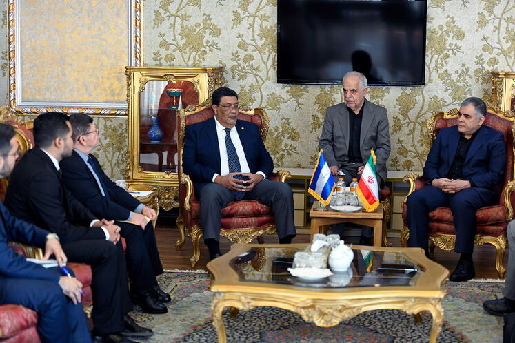دیدار محسن پاک‌نژاد، وزیر نفت با والدراک لودوینگ یاینتسکه ویتاکر، وزیر امور خارجه جمهوری نیکاراگوئه