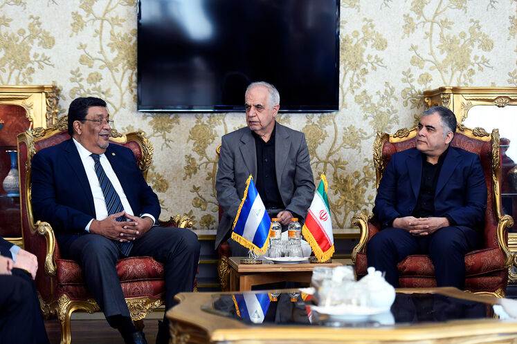 دیدار محسن پاک‌نژاد، وزیر نفت با والدراک لودوینگ یاینتسکه ویتاکر، وزیر امور خارجه جمهوری نیکاراگوئه