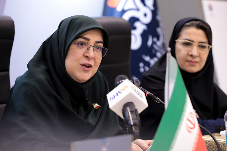 فاطمه مهاجرانی، سخنگوی دولت