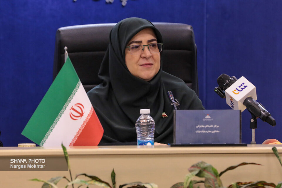 Spox hails oil industry for performance during third imposed war