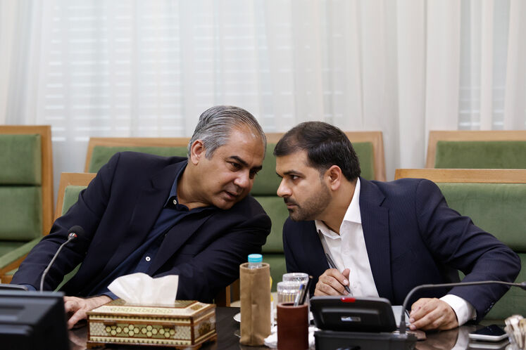 دیدار محسن پاک‌نژاد، وزیر نفت با سید محسن رضا نقوی، وزیر کشور پاکستان