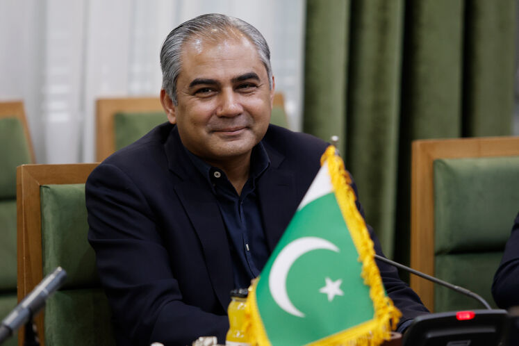  سید محسن رضا نقوی، وزیر کشور پاکستان