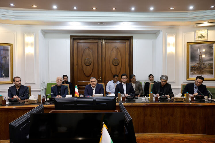دیدار محسن پاک‌نژاد، وزیر نفت با سید محسن رضا نقوی، وزیر کشور پاکستان