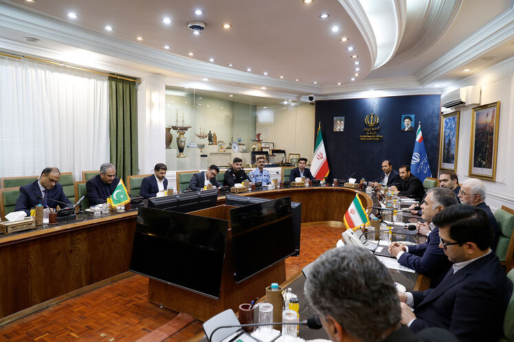 دیدار محسن پاک‌نژاد، وزیر نفت با سید محسن رضا نقوی، وزیر کشور پاکستان