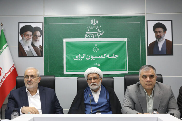 محسن ‌پاک‌نژاد، وزیر نفت، موسی احمدی، رئیس کمیسیون انرژی مجلس شورای اسلامی و عباس علی‌آبادی، وزیر نیرو