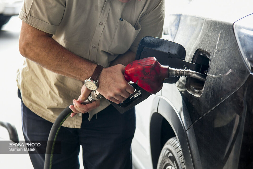 Fuel policies cut gasoline use