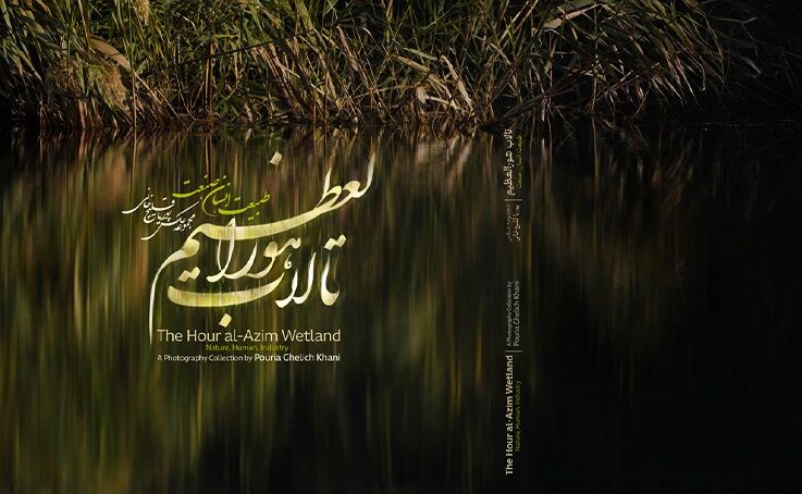 کتاب مصور هورالعظیم، برنده مدال برنز عکاسی بین‌المللی