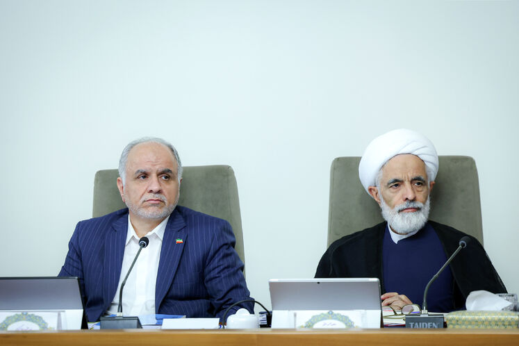 مجید انصاری، معاون حقوقی رئیس‌جمهور و امین‌حسین رحیمی، وزیر دادگستری