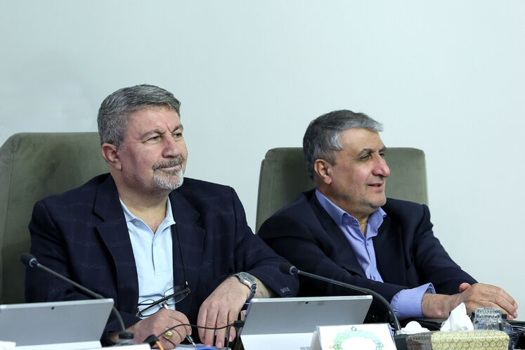 محمد اسلامی، معاون رئیس‌جمهوری و رئیس سازمان انرژی اتمی و الیاس حضرتی، رئیس شورای اطلاع‌رسانی دولت 