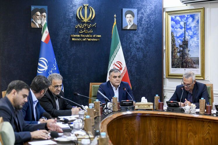 گفت‌وگوی وبیناری وزیر نفت ایران با وزیر انرژی روسیه