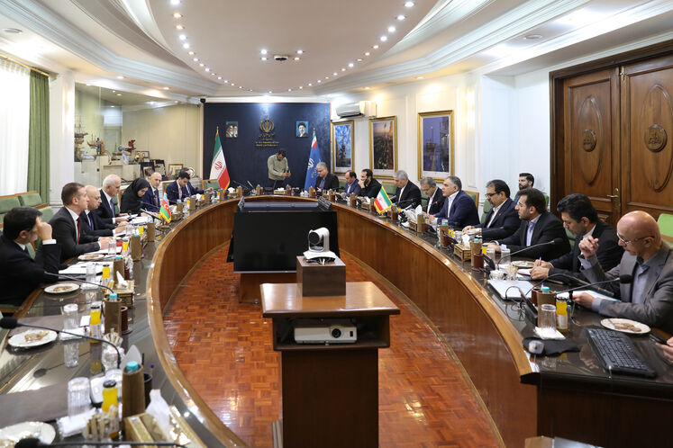 دیدار وزیر نفت با معاون نخست‌وزیر جمهوری آذربایجان