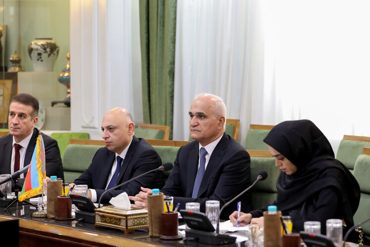 دیدار وزیر نفت با معاون نخست‌وزیر جمهوری آذربایجان
