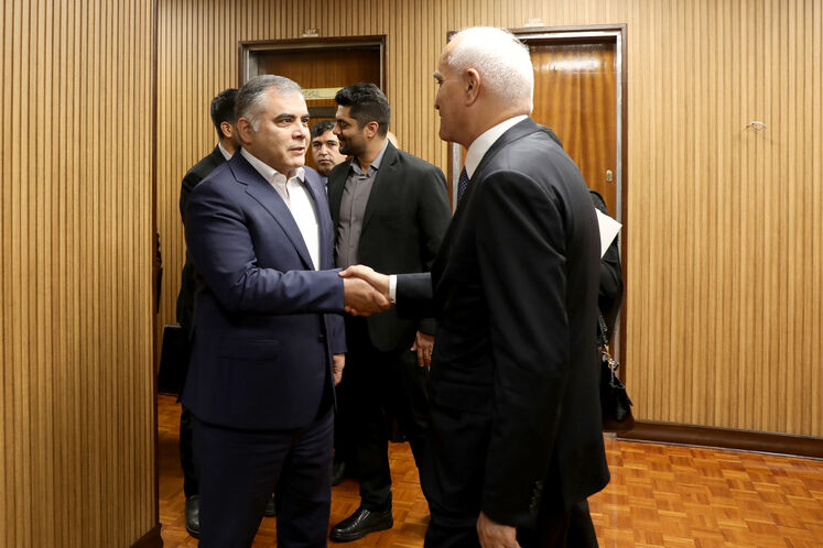 دیدار وزیر نفت با معاون نخست‌وزیر جمهوری آذربایجان