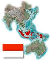 افول اندونزی به عنوان صادر کننده نفت 