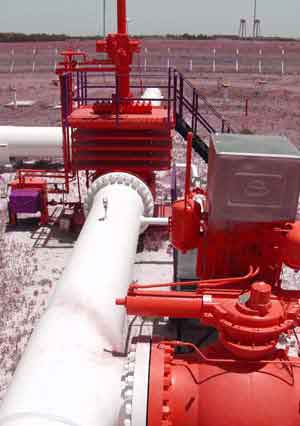 ظرفیت انتقال نفت خام به پالایشگاه شیراز، 9 هزار بشکه افزایش یافت
